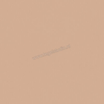  Del Conca Bioterre Terra 120x120 cm Vloertegel / Wandtegel Mat Vlak Naturale GRBE06R | 408240