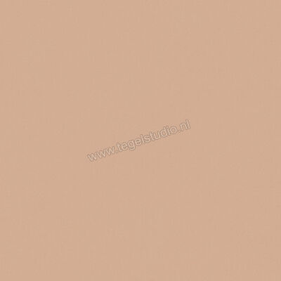  Del Conca Bioterre Terra 120x120 cm Vloertegel / Wandtegel Mat Vlak Naturale GRBE06R | 408243