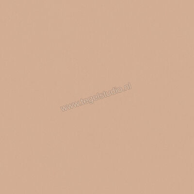  Del Conca Bioterre Terra 120x120 cm Vloertegel / Wandtegel Mat Vlak Naturale GRBE06R | 408246