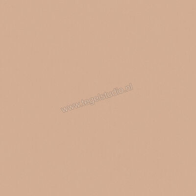  Del Conca Bioterre Terra 120x120 cm Vloertegel / Wandtegel Mat Vlak Naturale GRBE06R | 408249