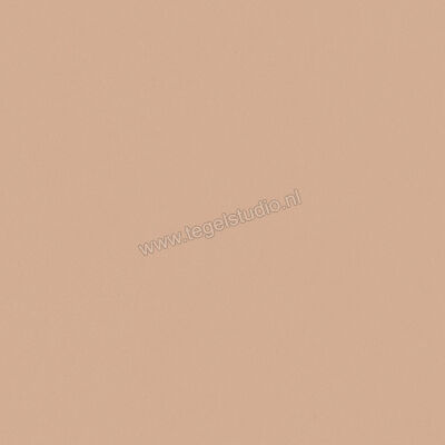  Del Conca Bioterre Terra 120x120 cm Vloertegel / Wandtegel Mat Vlak Naturale GRBE06R | 408252