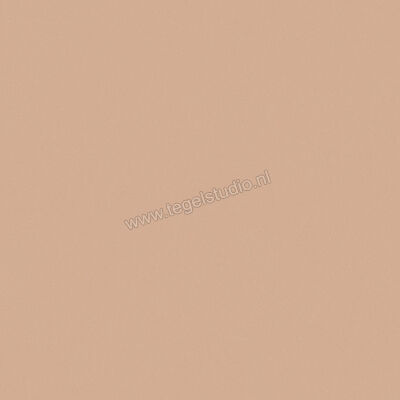  Del Conca Bioterre Terra 120x120 cm Vloertegel / Wandtegel Mat Vlak Naturale GRBE06R | 408255