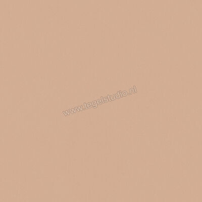  Del Conca Bioterre Terra 120x120 cm Vloertegel / Wandtegel Mat Vlak Naturale GRBE06R | 408258