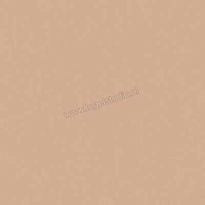 Del Conca Bioterre Terra 120x120 cm Vloertegel / Wandtegel Mat Vlak Naturale GRBE06R | 408261