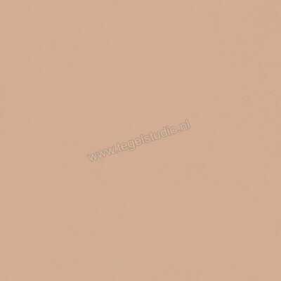  Del Conca Bioterre Terra 80x80 cm Vloertegel / Wandtegel Mat Vlak Naturale GTBE06R | 408264