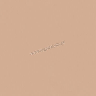  Del Conca Bioterre Terra 80x80 cm Vloertegel / Wandtegel Mat Vlak Naturale GTBE06R | 408267