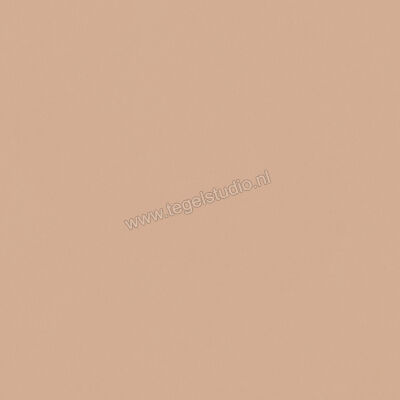  Del Conca Bioterre Terra 80x80 cm Vloertegel / Wandtegel Mat Vlak Naturale GTBE06R | 408270