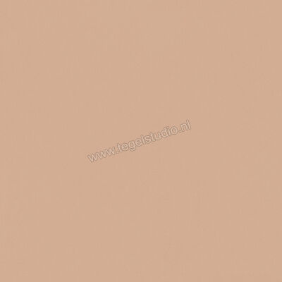  Del Conca Bioterre Terra 80x80 cm Vloertegel / Wandtegel Mat Vlak Naturale GTBE06R | 408273