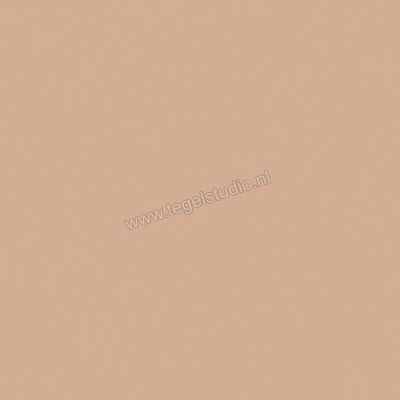  Del Conca Bioterre Terra 80x80 cm Vloertegel / Wandtegel Mat Vlak Naturale GTBE06R | 408276