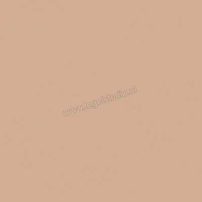  Del Conca Bioterre Terra 80x80 cm Vloertegel / Wandtegel Mat Vlak Naturale GTBE06R | 408279