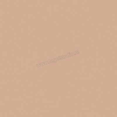  Del Conca Bioterre Terra 80x80 cm Vloertegel / Wandtegel Mat Vlak Naturale GTBE06R | 408282