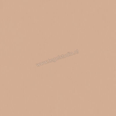  Del Conca Bioterre Terra 80x80 cm Vloertegel / Wandtegel Mat Vlak Naturale GTBE06R | 408285
