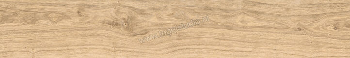  Del Conca Native Rovere Naturale 20x120 cm Vloertegel / Wandtegel Mat Vlak Naturale 21NI11R | 409410