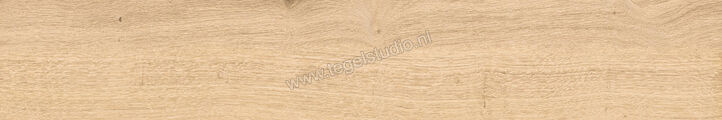  Del Conca Native Rovere Naturale 20x120 cm Vloertegel / Wandtegel Mat Vlak Naturale 21NI11R | 409443