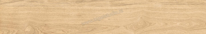  Del Conca Native Rovere Naturale 20x120 cm Vloertegel / Wandtegel Mat Vlak Naturale 21NI11R | 409449
