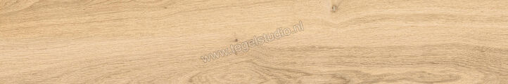  Del Conca Native Rovere Naturale 20x120 cm Vloertegel / Wandtegel Mat Vlak Naturale 21NI11R | 409452