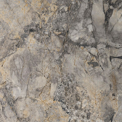  Del Conca Marble Edition Invisible Gray 60x60 cm Vloertegel / Wandtegel Mat Gestructureerd Naturale G9ME05R | 409593
