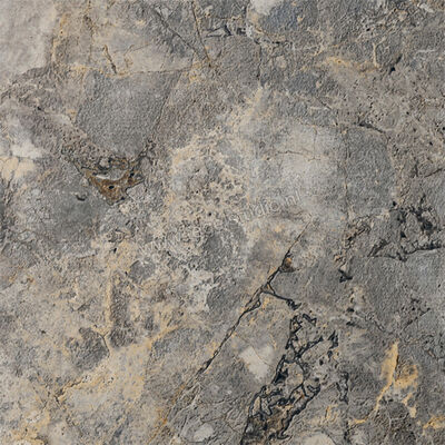  Del Conca Marble Edition Invisible Gray 60x60 cm Vloertegel / Wandtegel Mat Gestructureerd Naturale G9ME05R | 409605