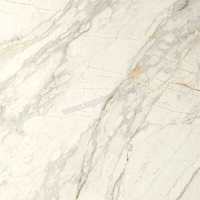  Del Conca Marble Edition Van Gogh White 60x60 cm Vloertegel / Wandtegel Mat Gestructureerd Naturale G9ME10R | 409638