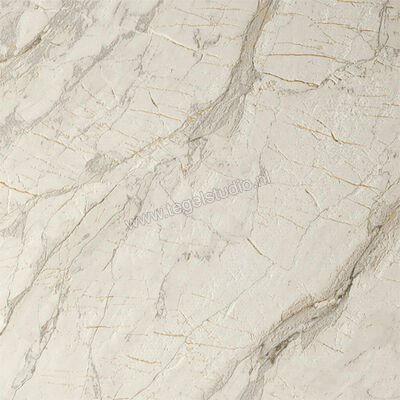  Del Conca Marble Edition Van Gogh White 60x60 cm Vloertegel / Wandtegel Mat Gestructureerd Naturale G9ME10R | 409641