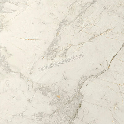  Del Conca Marble Edition Van Gogh White 60x60 cm Vloertegel / Wandtegel Mat Gestructureerd Naturale G9ME10R | 409650