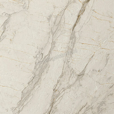  Del Conca Marble Edition Van Gogh White 60x60 cm Vloertegel / Wandtegel Mat Gestructureerd Naturale G9ME10R | 409653