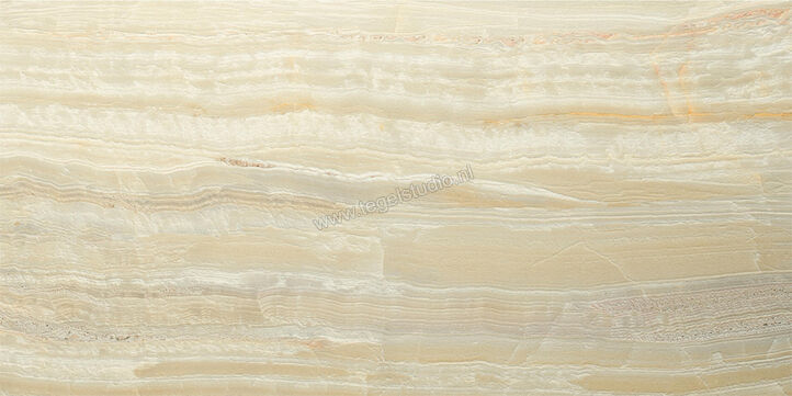  Del Conca Marble Edition Onice Verde 60x120 cm Vloertegel / Wandtegel Mat Gestructureerd Naturale GCME03R | 409656