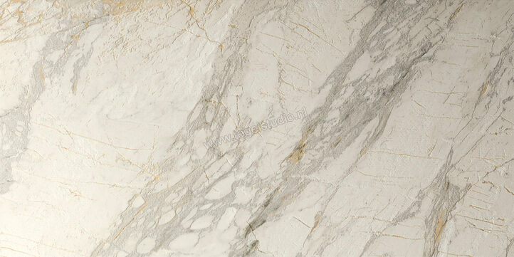  Del Conca Marble Edition Van Gogh White 60x120 cm Vloertegel / Wandtegel Mat Gestructureerd Naturale GCME10R | 409692