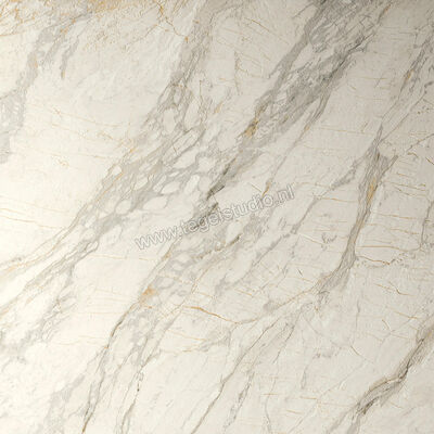 Del Conca Marble Edition Van Gogh White 120x120 cm Vloertegel / Wandtegel Mat Gestructureerd Naturale GRME10R | 409734