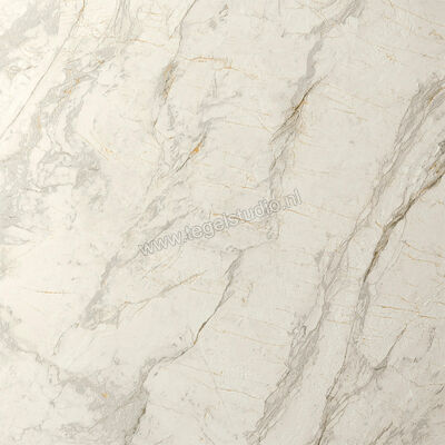  Del Conca Marble Edition Van Gogh White 120x120 cm Vloertegel / Wandtegel Mat Gestructureerd Naturale GRME10R | 409737