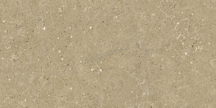  Del Conca Wild Beige 30x60 cm Vloertegel / Wandtegel Mat Vlak Naturale G8WD01R | 409923