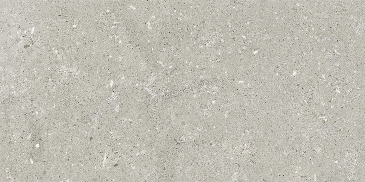  Del Conca Wild Grey 30x60 cm Vloertegel / Wandtegel Mat Vlak Naturale G8WD05R | 409932