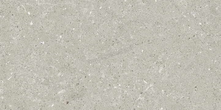  Del Conca Wild Grey 30x60 cm Vloertegel / Wandtegel Mat Vlak Naturale G8WD05R | 409938