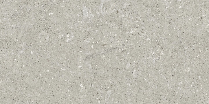  Del Conca Wild Grey 30x60 cm Vloertegel / Wandtegel Mat Vlak Naturale G8WD05R | 409941