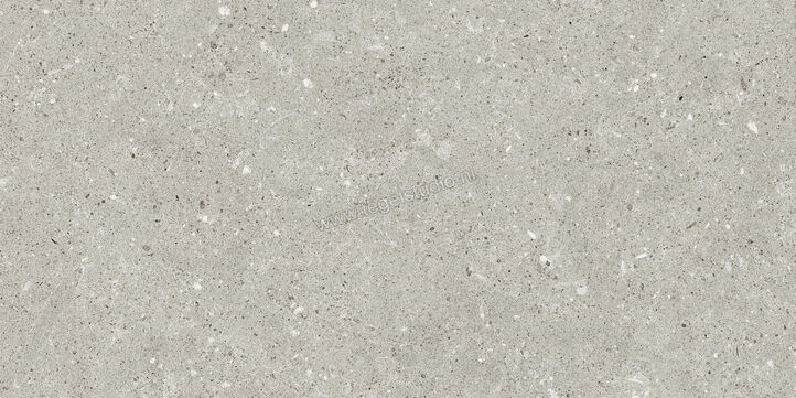  Del Conca Wild Grey 30x60 cm Vloertegel / Wandtegel Mat Vlak Naturale G8WD05R | 409944