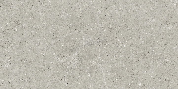  Del Conca Wild Grey 30x60 cm Vloertegel / Wandtegel Mat Vlak Naturale G8WD05R | 409947
