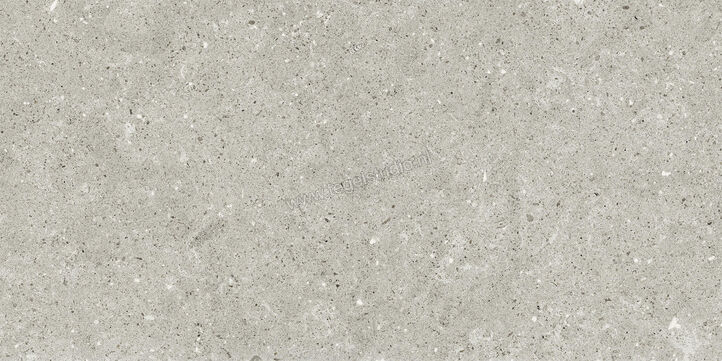  Del Conca Wild Grey 30x60 cm Vloertegel / Wandtegel Mat Vlak Naturale G8WD05R | 409950
