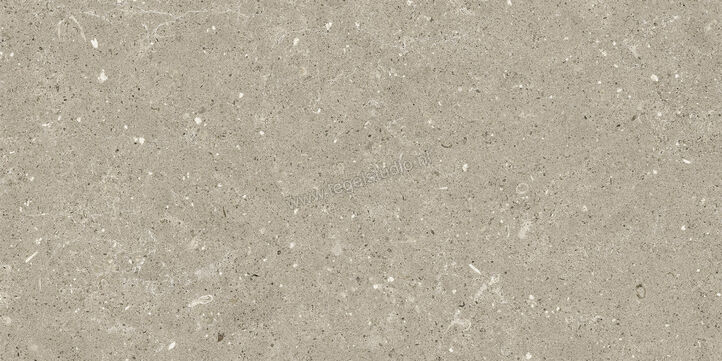  Del Conca Wild Greige 30x60 cm Vloertegel / Wandtegel Mat Vlak Naturale G8WD11R | 409986