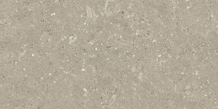  Del Conca Wild Greige 30x60 cm Vloertegel / Wandtegel Mat Vlak Naturale G8WD11R | 409989