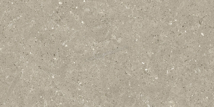  Del Conca Wild Greige 30x60 cm Vloertegel / Wandtegel Mat Vlak Naturale G8WD11R | 409992