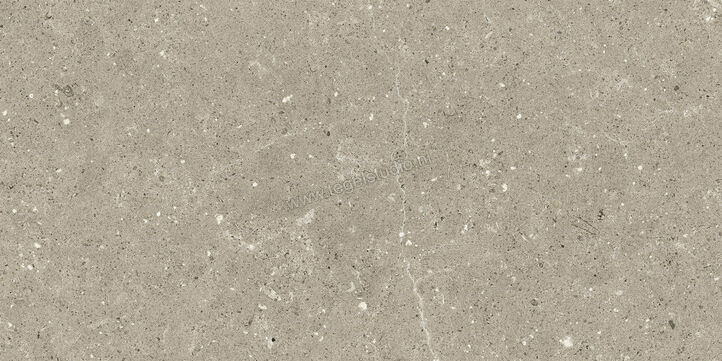  Del Conca Wild Greige 30x60 cm Vloertegel / Wandtegel Mat Vlak Naturale G8WD11R | 409995