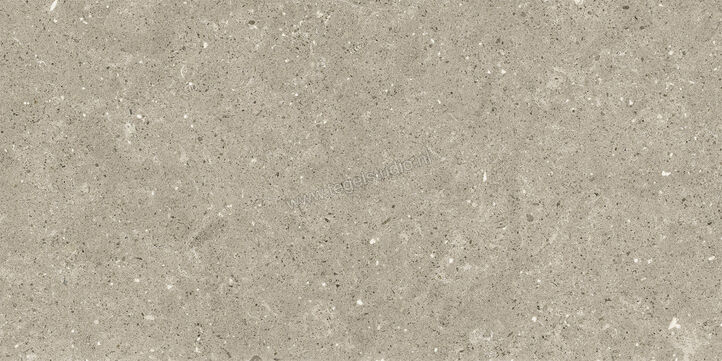  Del Conca Wild Greige 30x60 cm Vloertegel / Wandtegel Mat Vlak Naturale G8WD11R | 409998