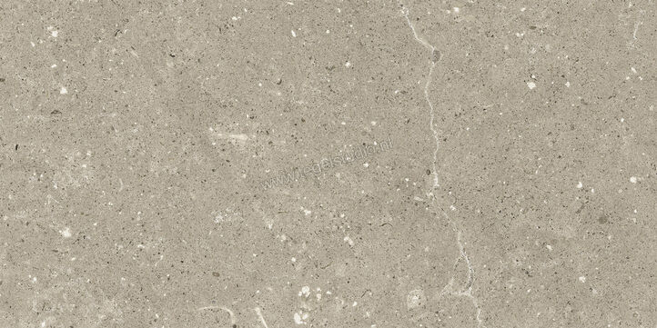  Del Conca Wild Greige 30x60 cm Vloertegel / Wandtegel Mat Vlak Naturale G8WD11R | 410001