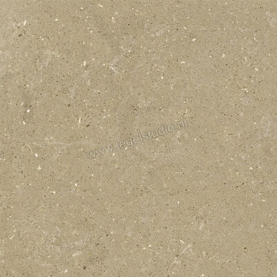  Del Conca Wild Beige 60x60 cm Vloertegel / Wandtegel Mat Vlak Naturale G9WD01R | 410004