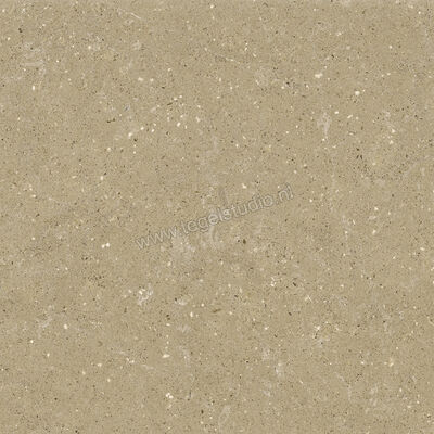  Del Conca Wild Beige 60x60 cm Vloertegel / Wandtegel Mat Vlak Naturale G9WD01R | 410007