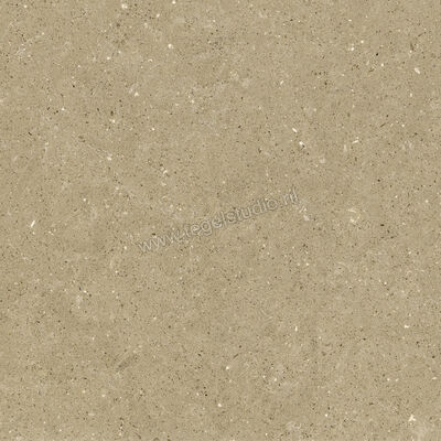 Del Conca Wild Beige 60x60 cm Vloertegel / Wandtegel Mat Vlak Naturale G9WD01R | 410010
