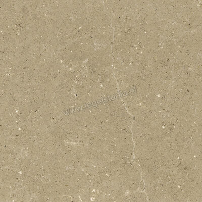  Del Conca Wild Beige 60x60 cm Vloertegel / Wandtegel Mat Vlak Naturale G9WD01R | 410013