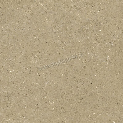  Del Conca Wild Beige 60x60 cm Vloertegel / Wandtegel Mat Vlak Naturale G9WD01R | 410016