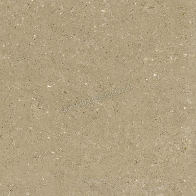  Del Conca Wild Beige 60x60 cm Vloertegel / Wandtegel Mat Vlak Naturale G9WD01R | 410019