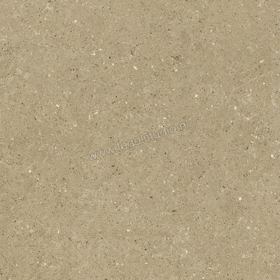  Del Conca Wild Beige 60x60 cm Vloertegel / Wandtegel Mat Vlak Naturale G9WD01R | 410022